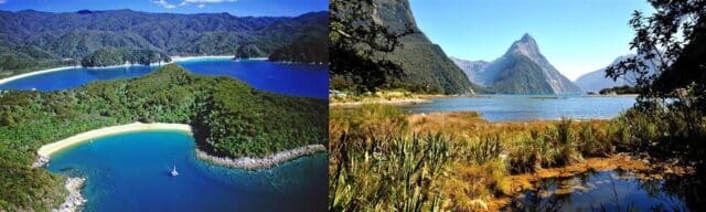 Fiordland or Abel Tasman national parks